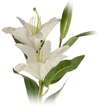 Sztuczna lilia wielkokwiatowa biała, dwa kwiaty ipączek, wys. 84 cm