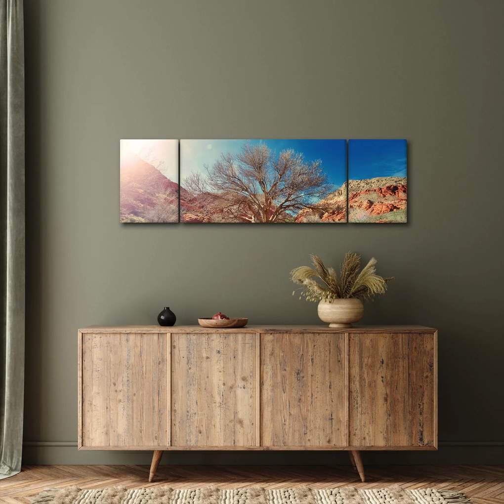 Obraz drzewa na pustyni (170x50 cm)
