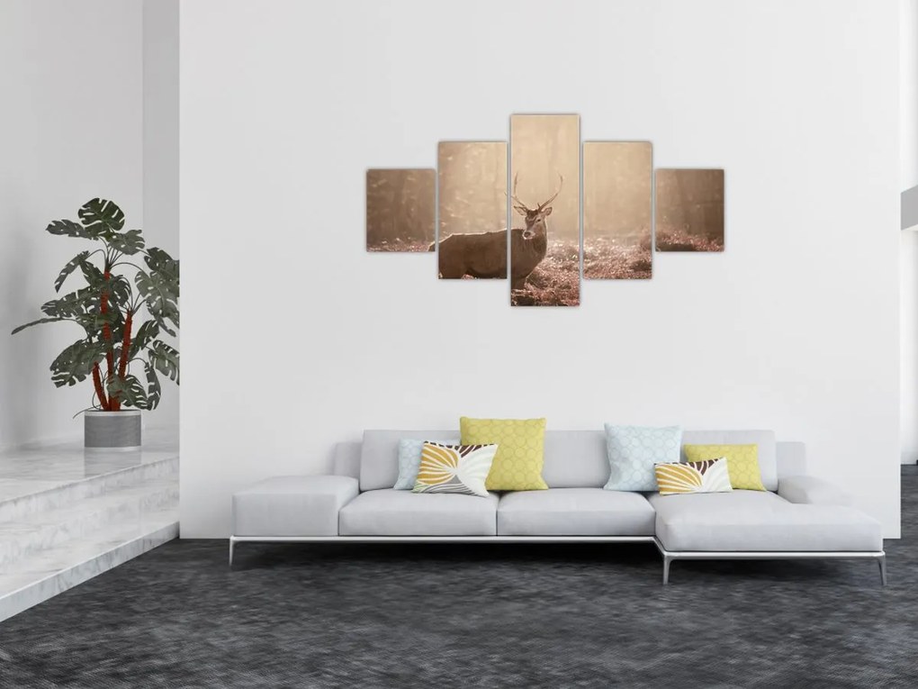 Obraz - Jeleń w lesie (125x70 cm)