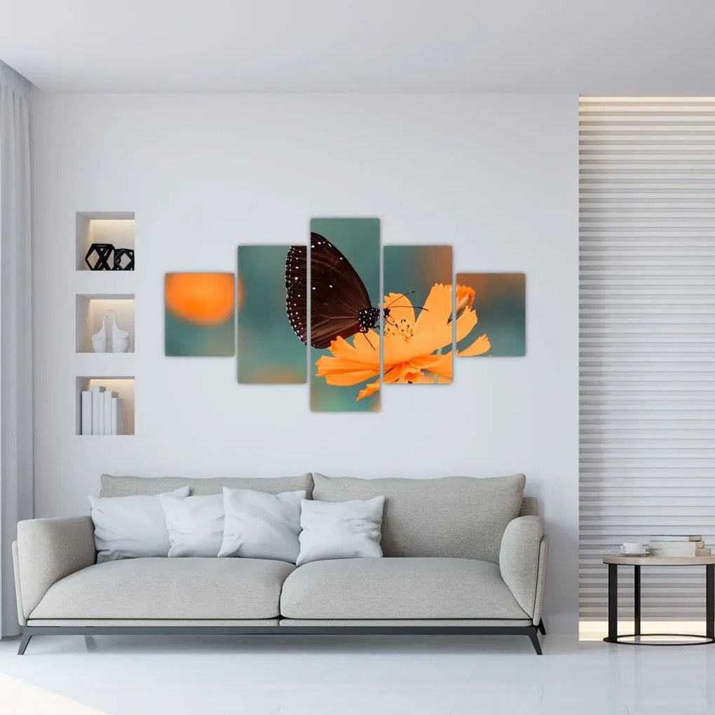 Obraz - motyl na pomarańczowym kwiatku (125x70 cm)