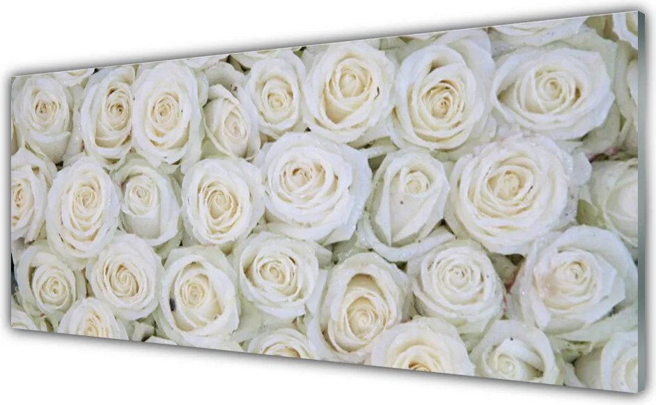 Panel Kuchenny Bukiet Herbacianych Róż