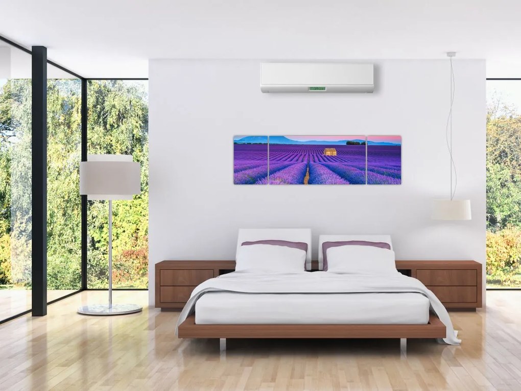 Obraz - Lewndowe pole (170x50 cm)