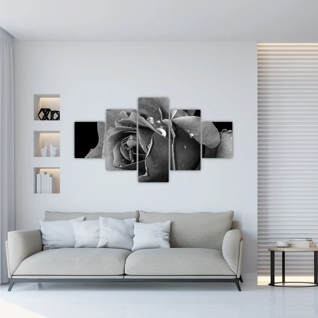 Obraz róży - czarno - biały (125x70 cm)