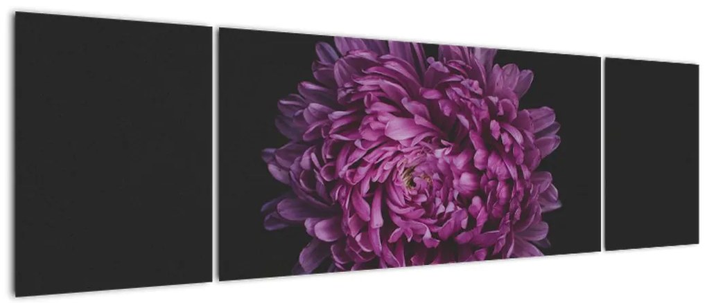 Obraz fioletowego kwiatu (170x50 cm)
