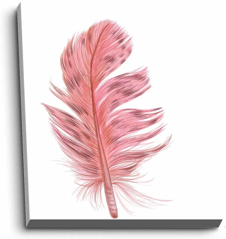 Obraz 45x70 cm Feather – Wallity