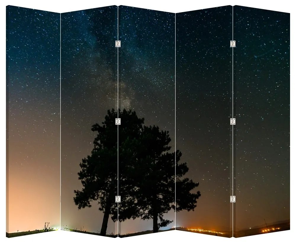 Parawan - Nocne niebo z drzewami (210x170 cm)