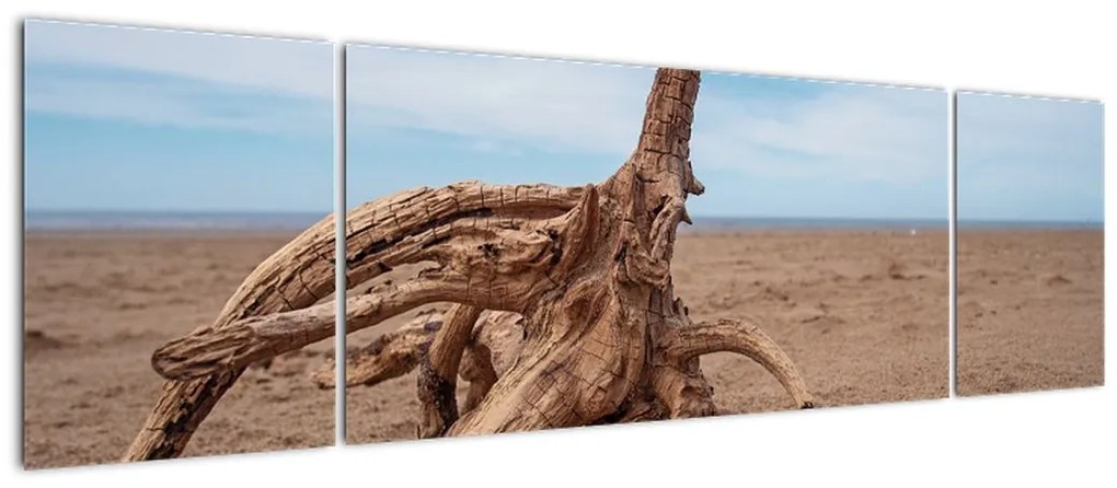 Obraz - Zmyte przez morze (170x50 cm)