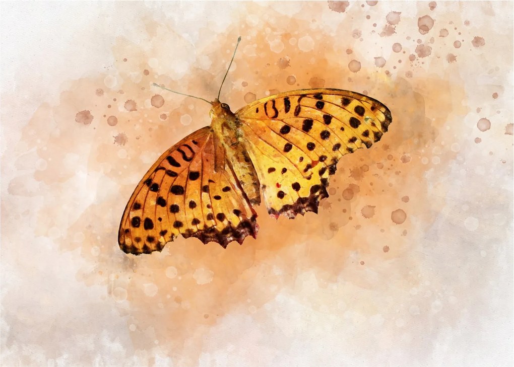 Obraz na szkle - Pomarańczowy motyl, akwarela (70x50 cm)