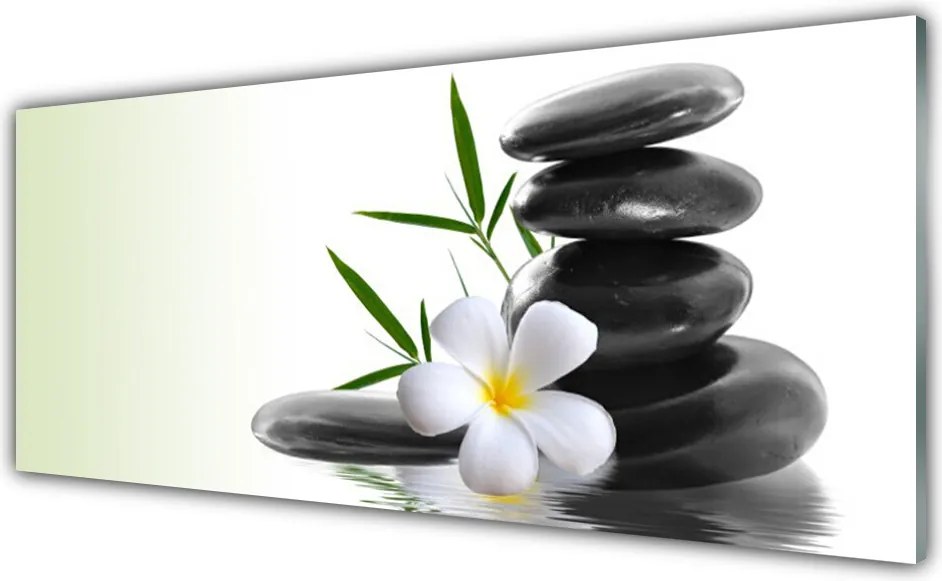 Szkło do Kuchni na Ścianę Kwiatowa Kompozycja Na Kamieniach