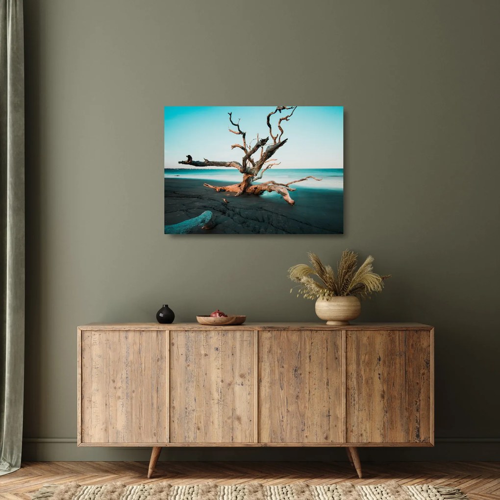Obraz na szkle - Wyłowiono na plaży (70x50 cm)
