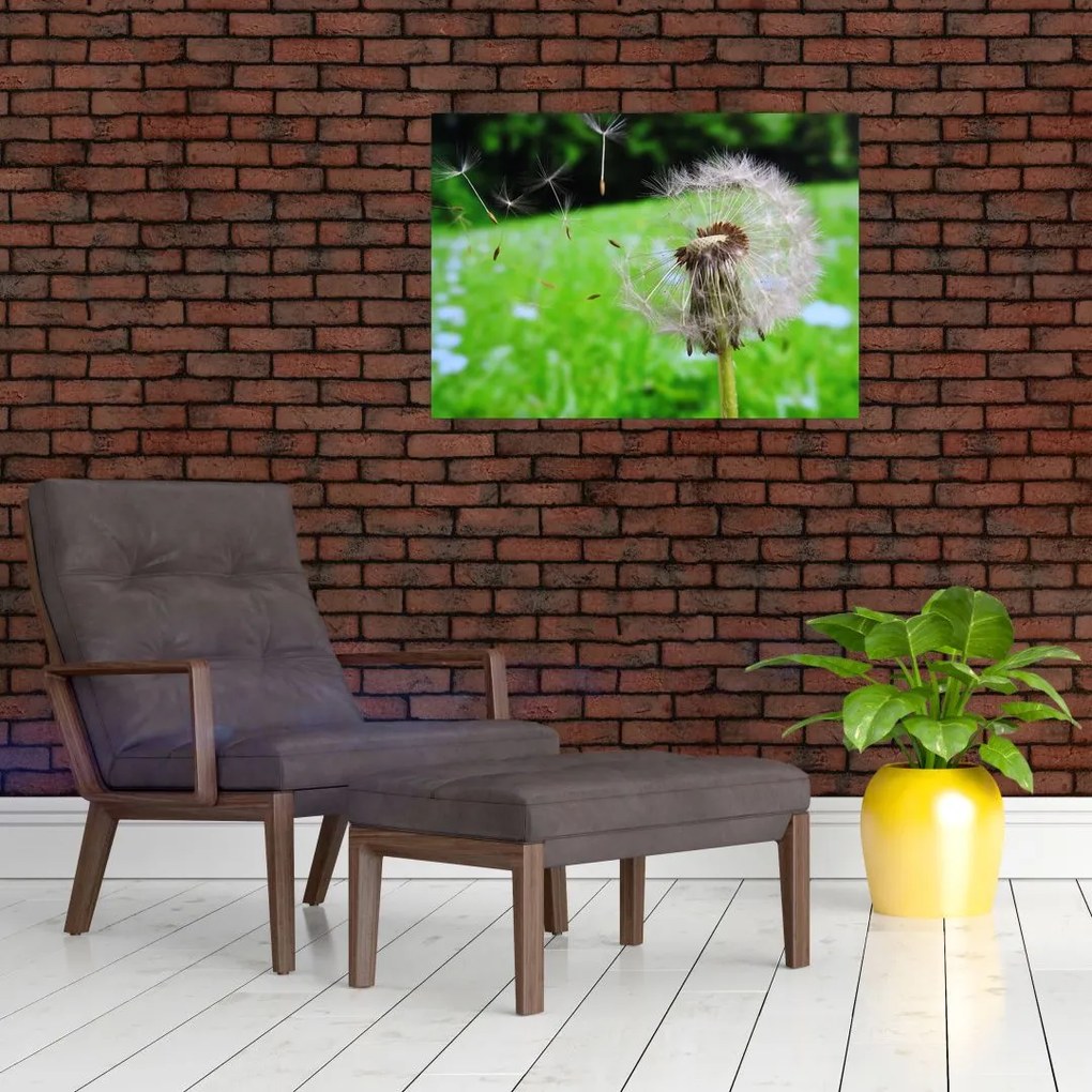 Obraz na szkle dmuchawca (70x50 cm)