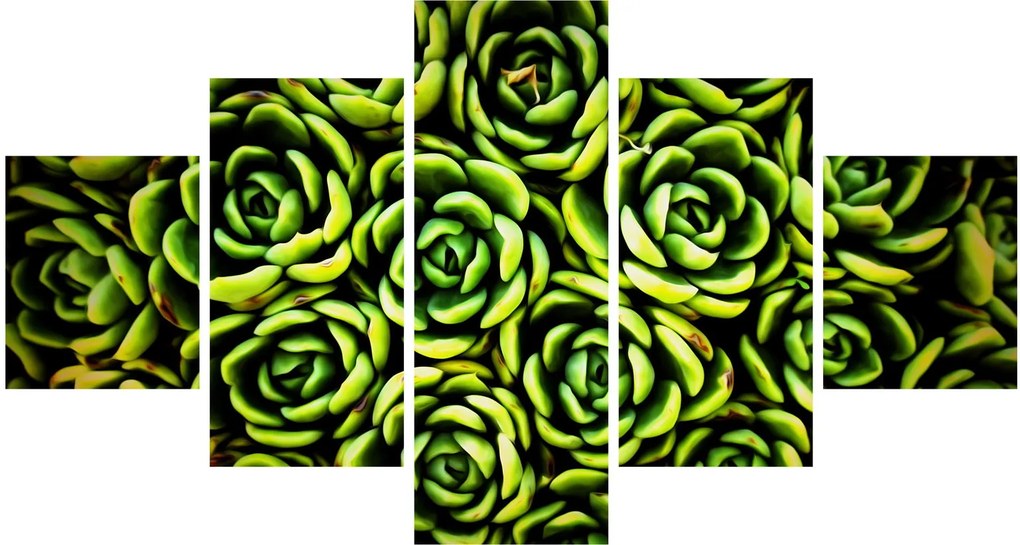 Obraz bez grzywki (125x70 cm)