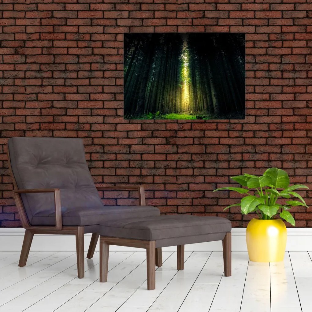 Obraz ciemnego lasu (70x50 cm)