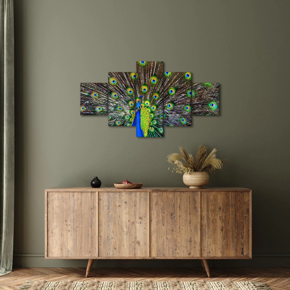 Obraz - Paw (125x70 cm)