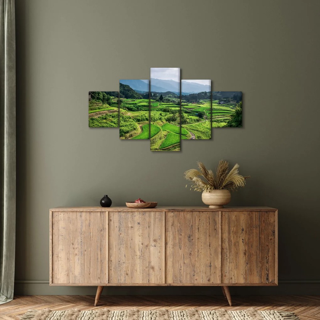 Obraz pól ryżowych (125x70 cm)