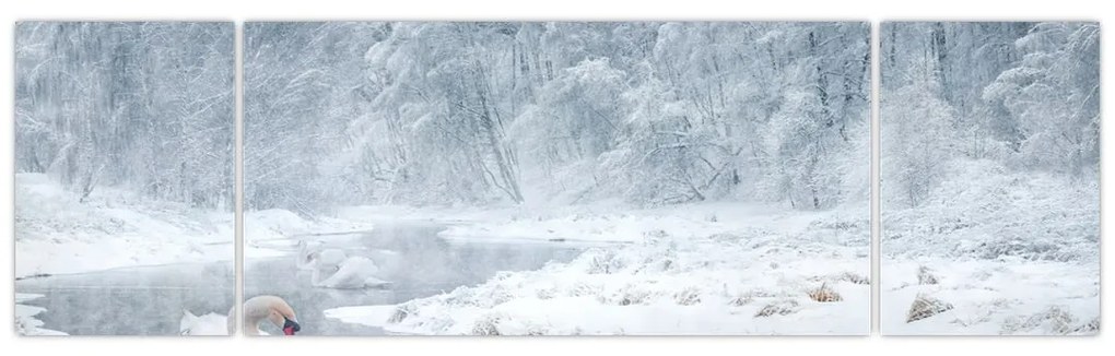 Obraz łabędzi (170x50 cm)