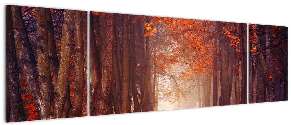Obraz - Jesienny las (170x50 cm)