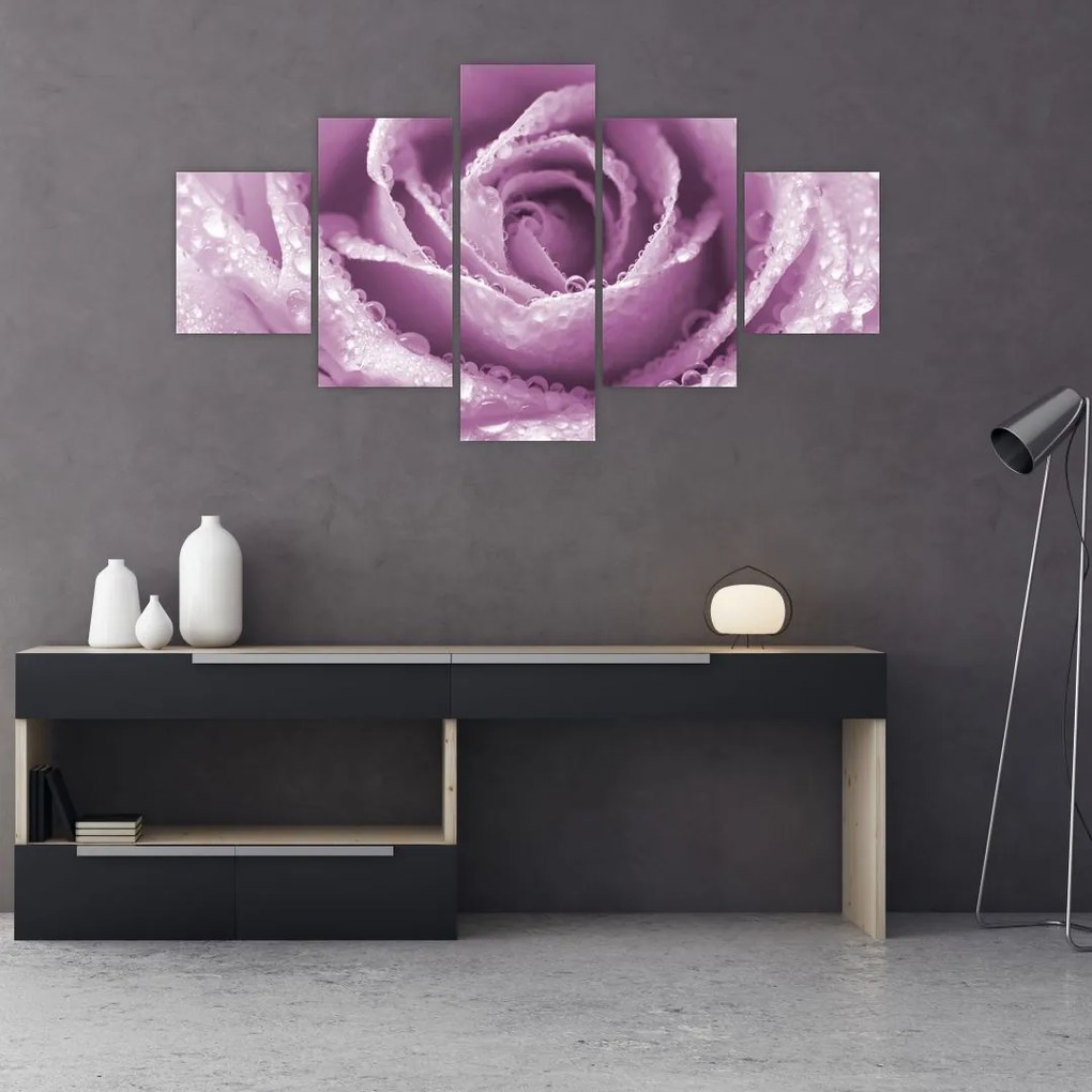 Obraz szczegółu kwiatu róży (125x70 cm)