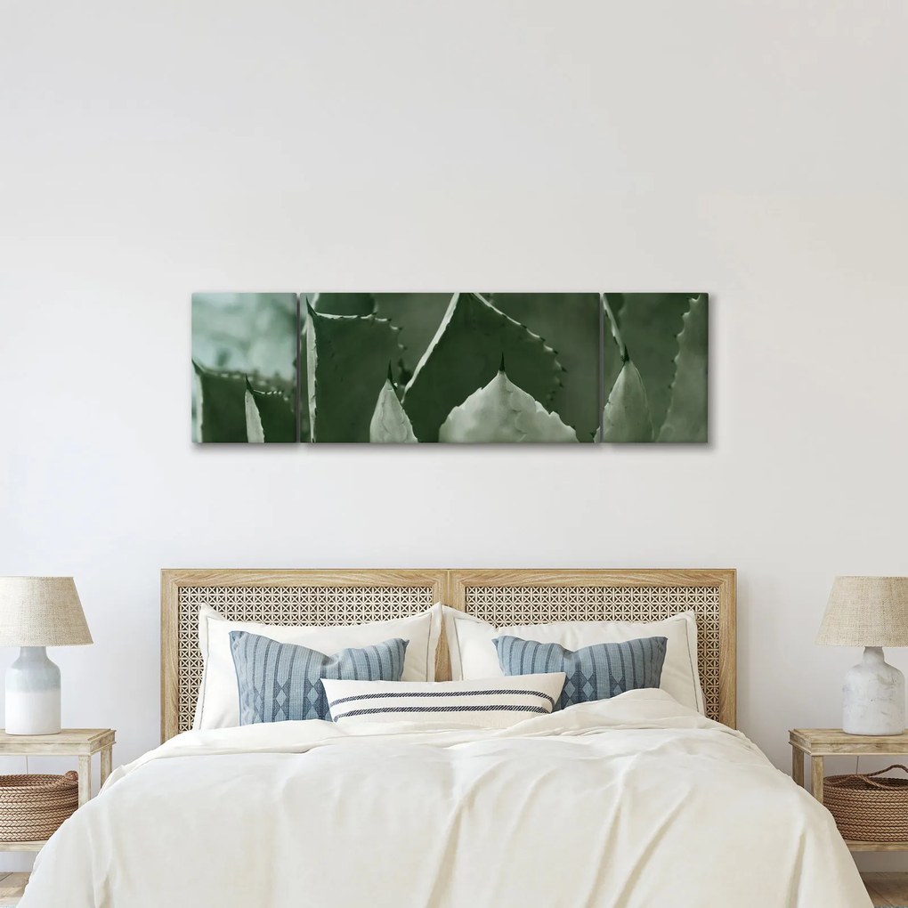 Obraz - Zielona agawa (170x50 cm)