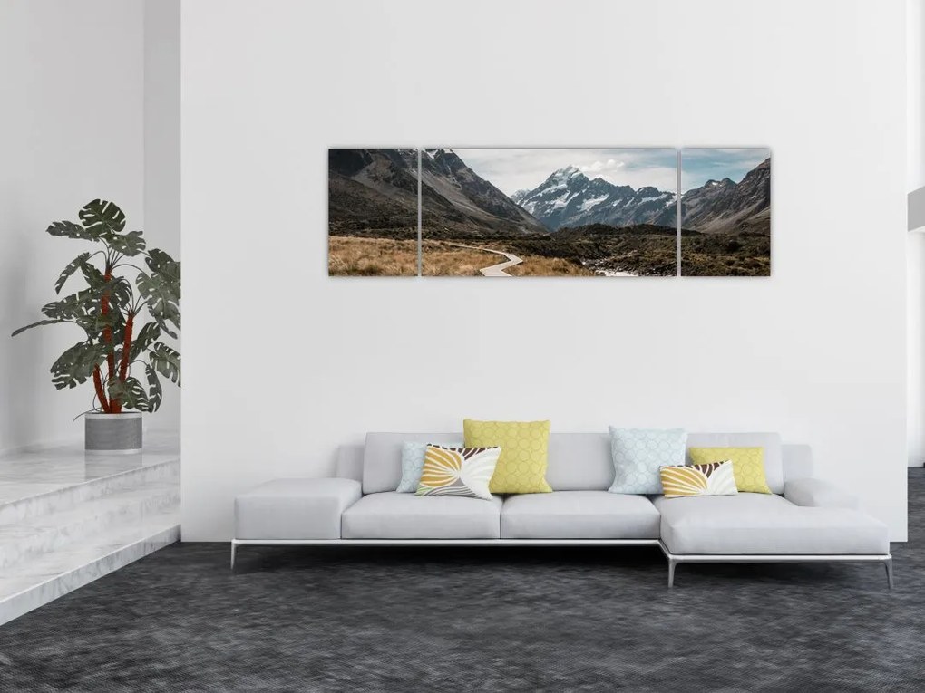Obraz - Chodnik w dolinie góry Mt. Cook (170x50 cm)