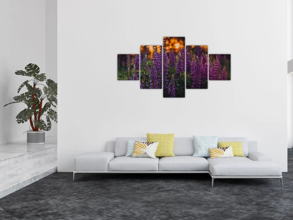 Obraz kwiatów łubinu (125x70 cm)