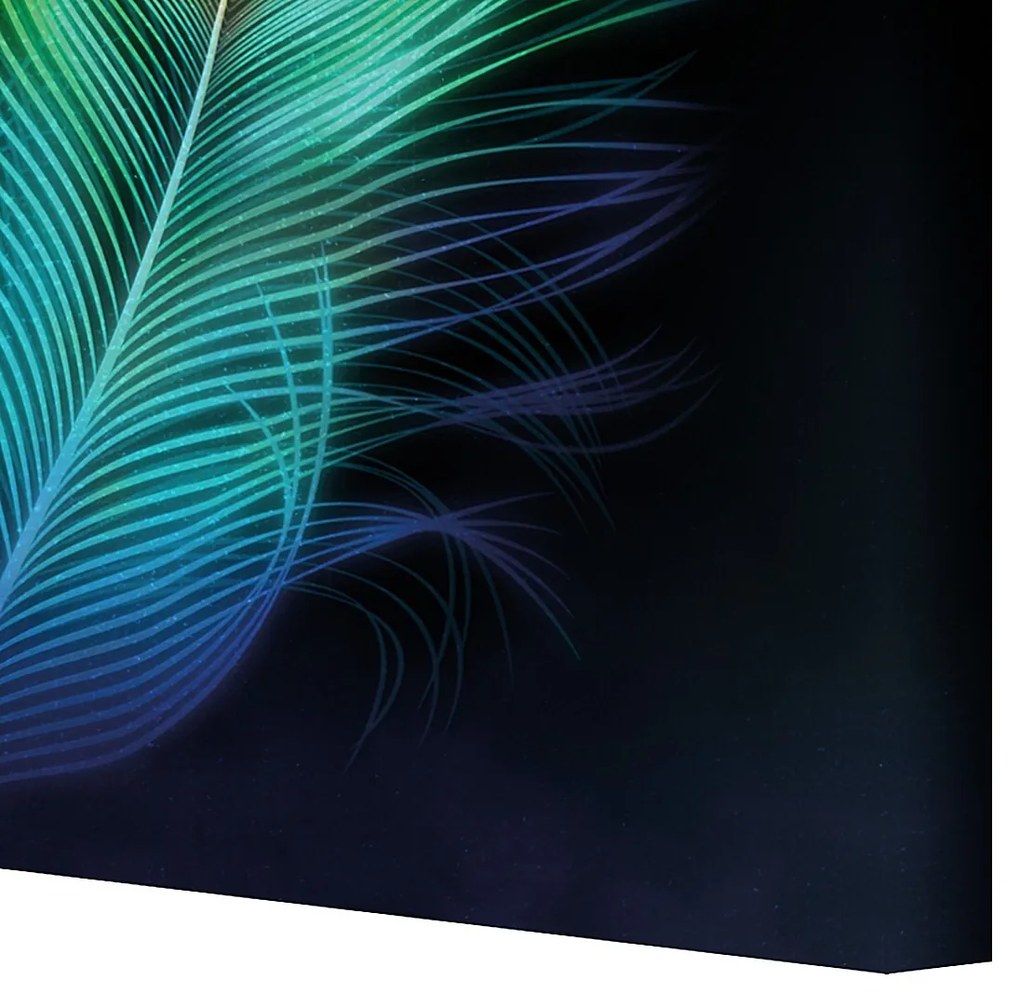 Obraz na płótnie Peacock Eye