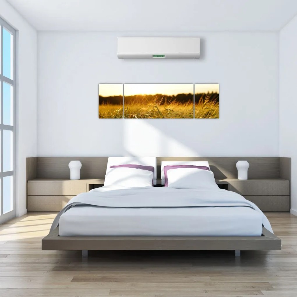 Obraz zroszonej trawy (170x50 cm)