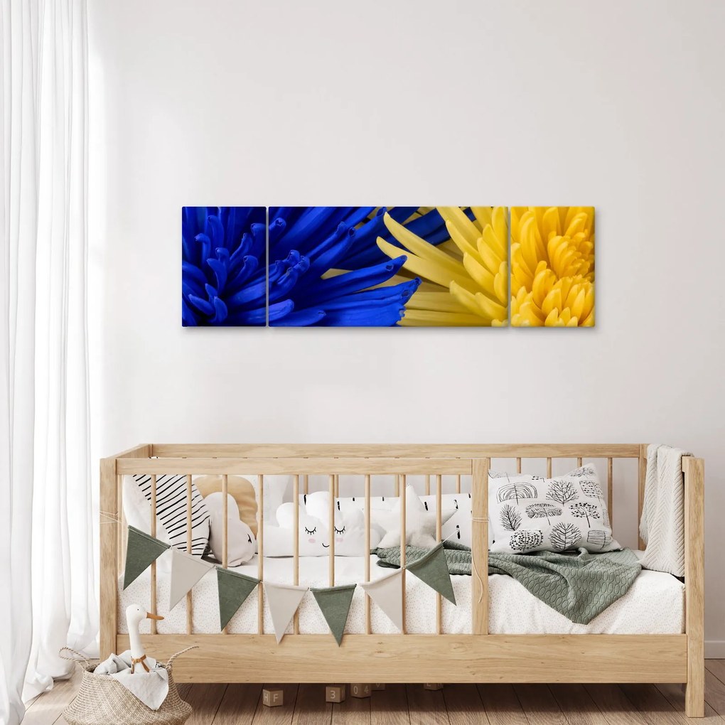 Obraz - szczegóły kwiatów (170x50 cm)