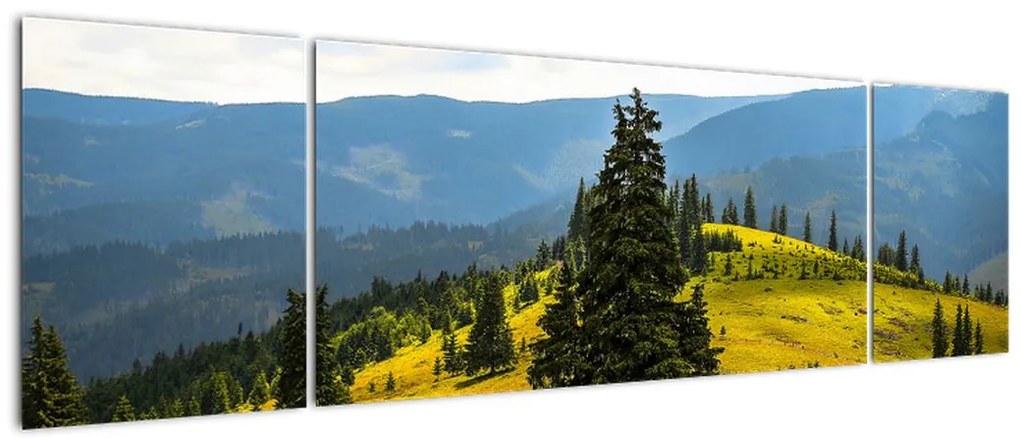Obraz - Górska łąka (170x50 cm)