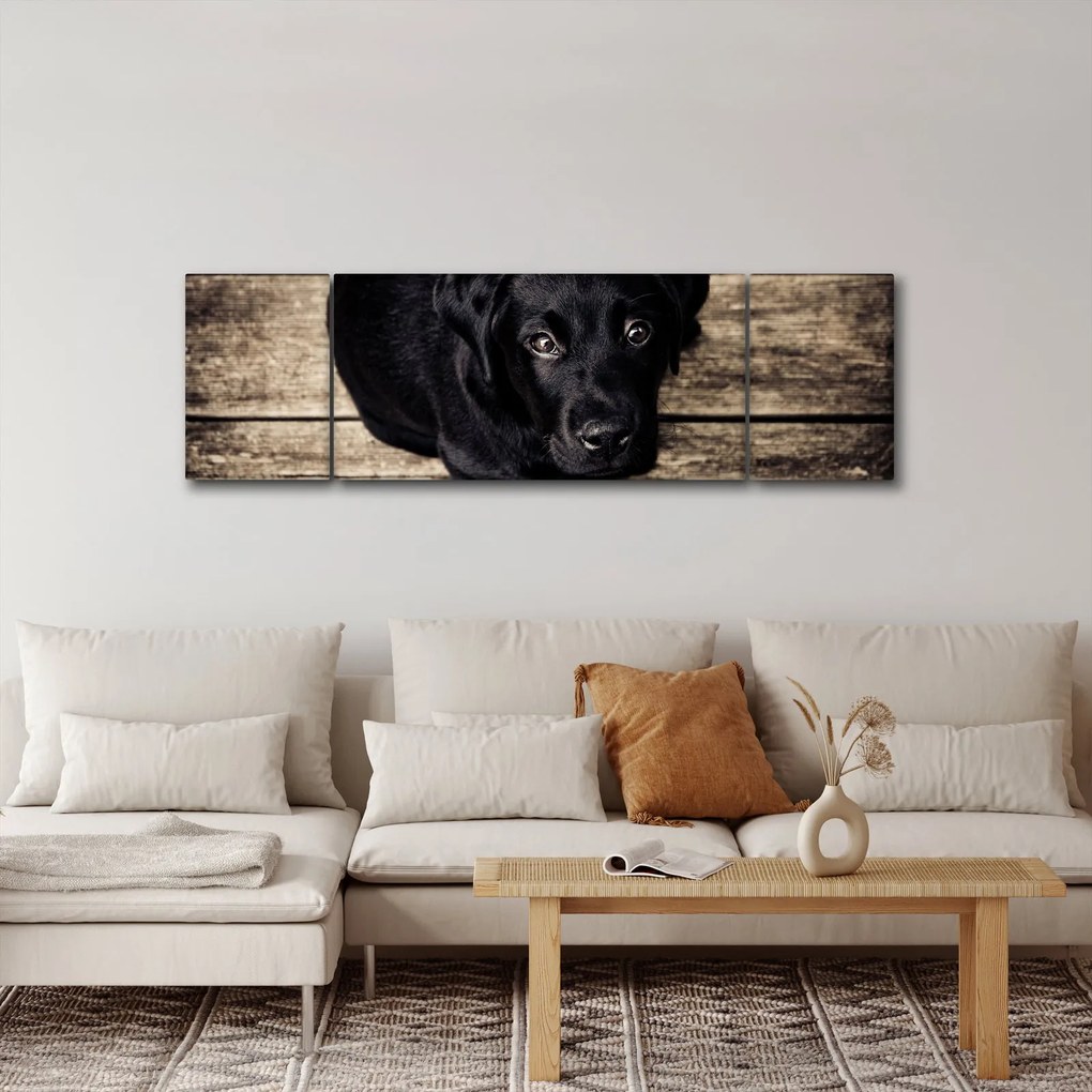 Obraz czarnego szczeniaka (170x50 cm)