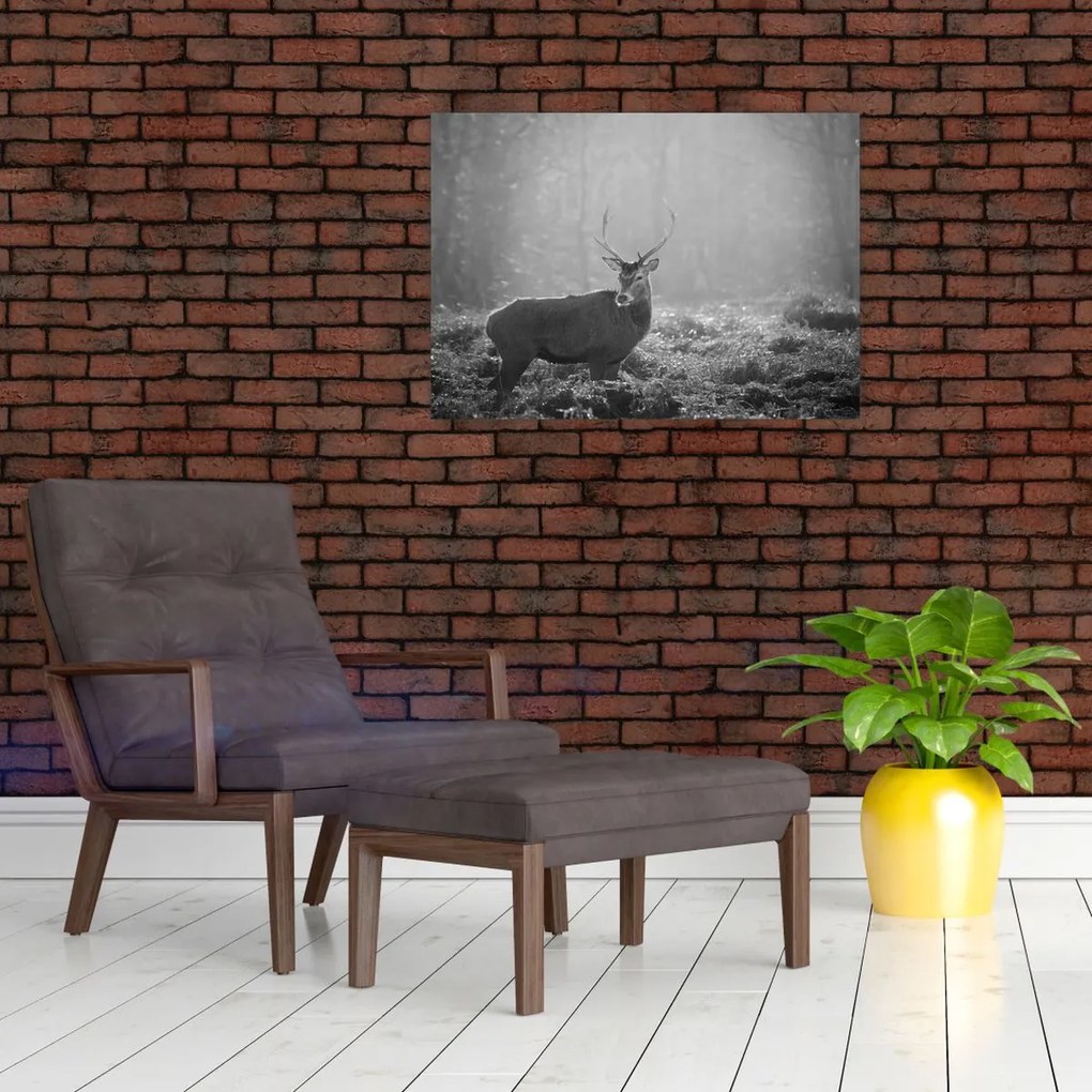 Obraz - Jeleń w lesie, czarno - biały (70x50 cm)