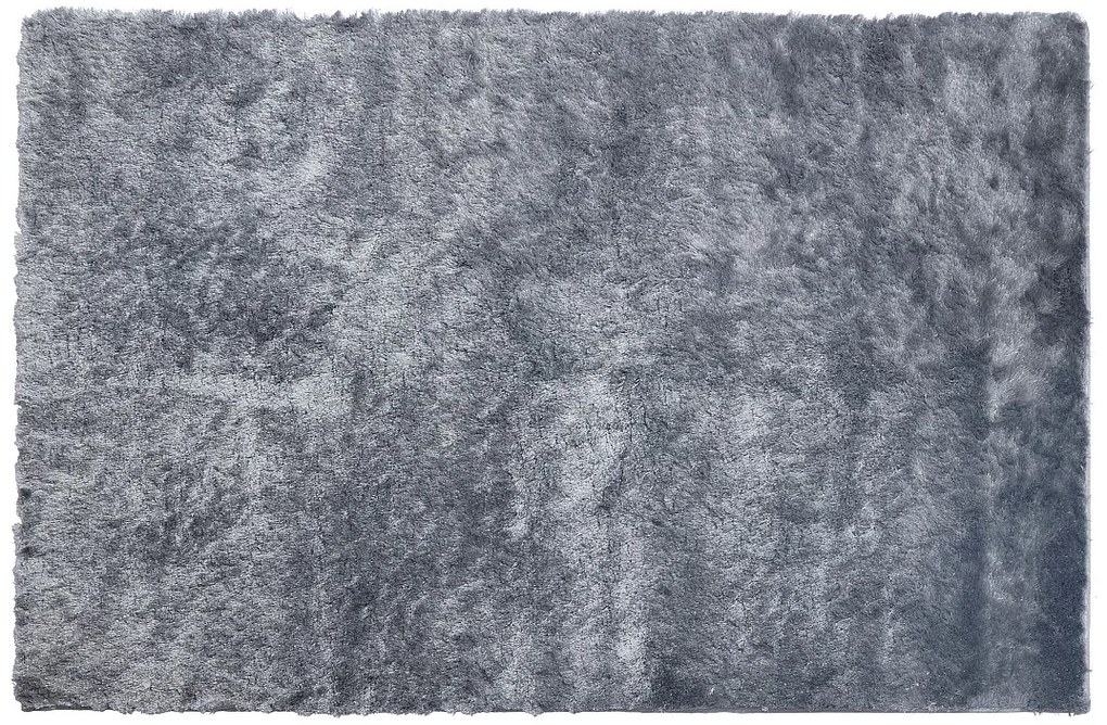 Dywan shaggy z długim, bardzo miękkim włosem  - 200 x 290 cm - Szary - DOLCE