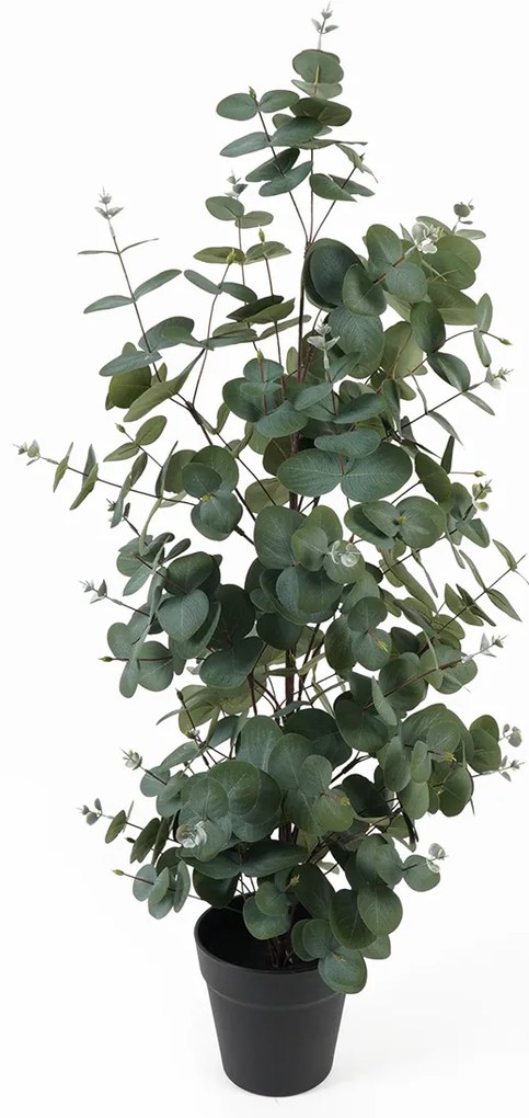 Sztuczny eukaliptus w doniczce EDEN, 78 cm
