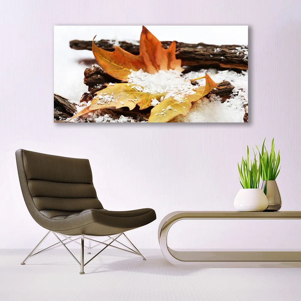 Obraz Canvas Liść Las Jesień Natura