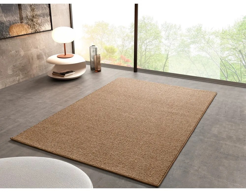 Brązowy dywan 200x290 cm Petra Liso – Universal