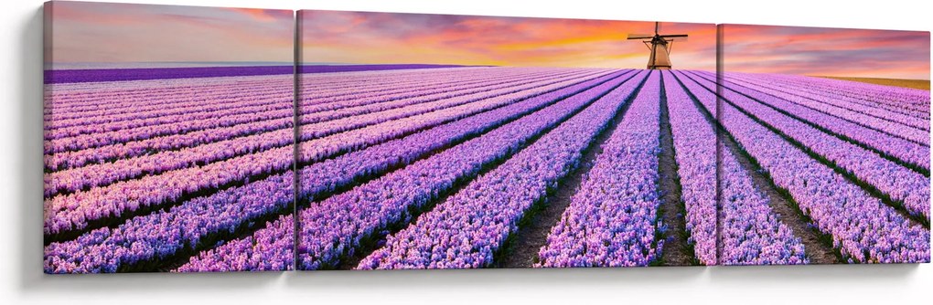 Obraz - farma kwiatów (170x50 cm)