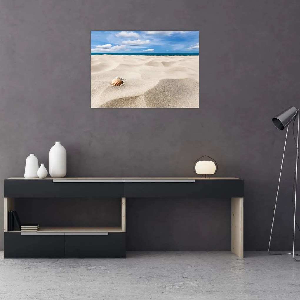 Obraz - Muszle na plaży (70x50 cm)