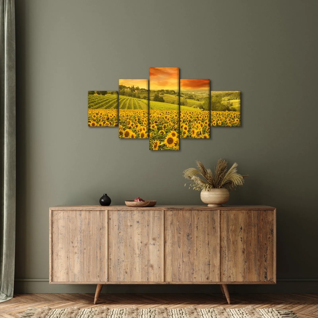 Obraz - Pole słoneczników (125x70 cm)