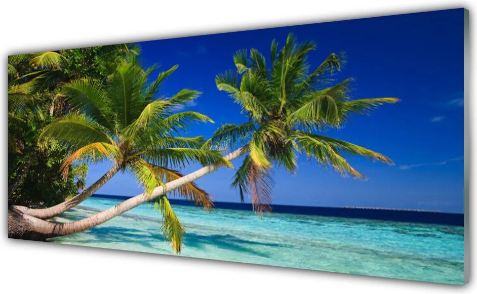 Szkło nad Blatem Tropikalny Brzeg Z Palmą