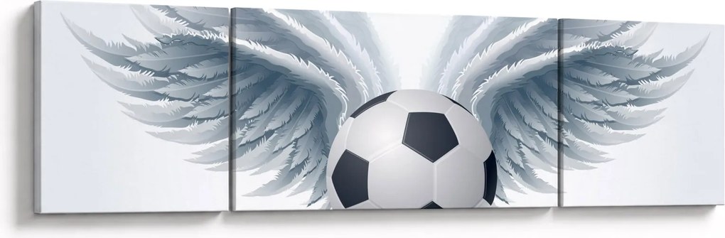 Obraz - Balon ze skrzydłami (170x50 cm)
