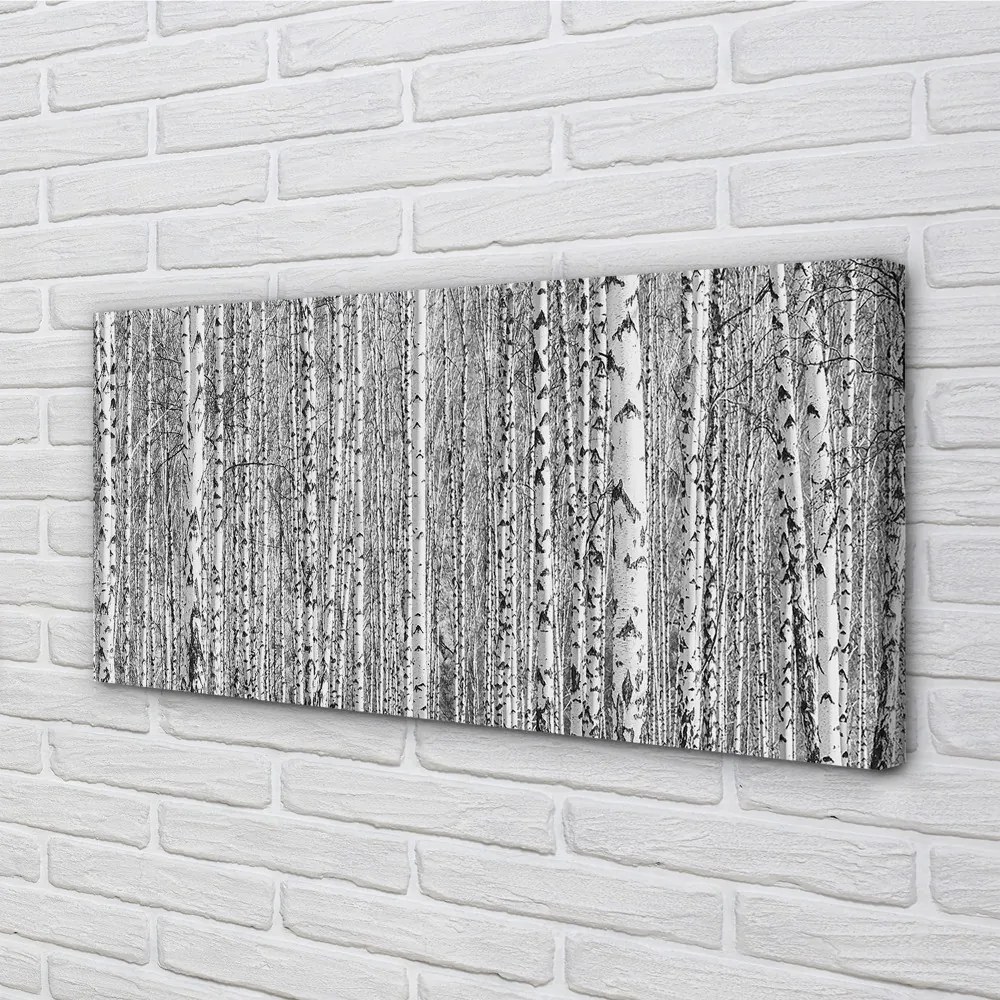 Obraz na płótnie Czarno-Biały Las