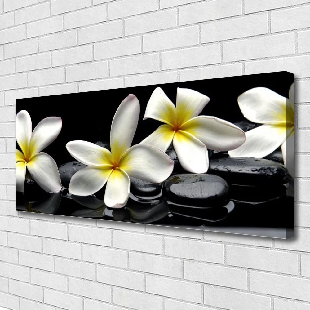 Obraz Canvas Piękny Kwiat Plumeria