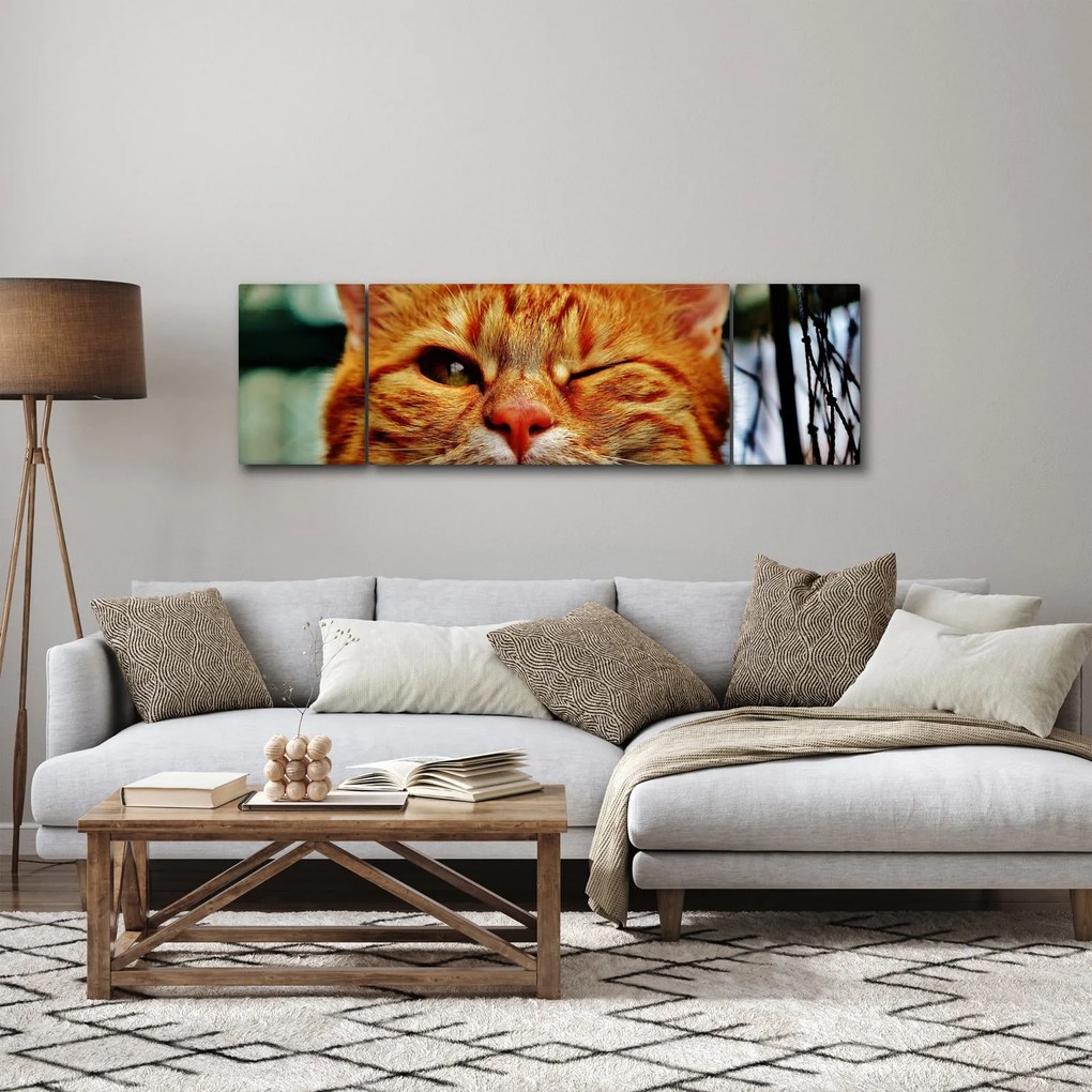 Obraz mrugającego kota (170x50 cm)