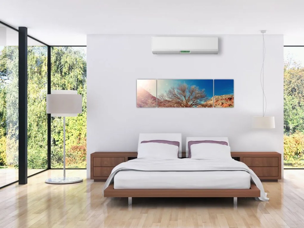 Obraz drzewa na pustyni (170x50 cm)