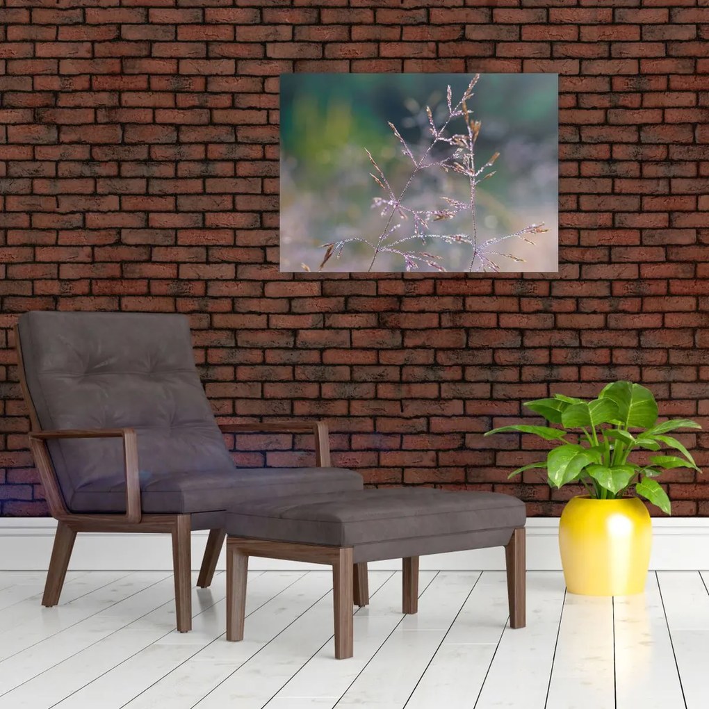 Obraz - Szczegół trawy (70x50 cm)