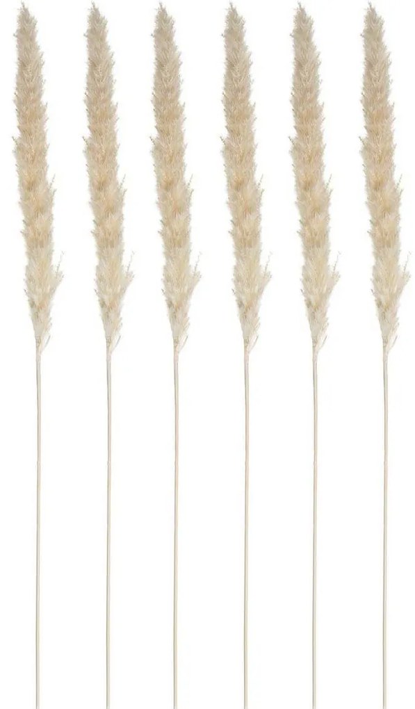 Ozdobne źdźbło z trawy pampasowej, 6 szt., 65 cm