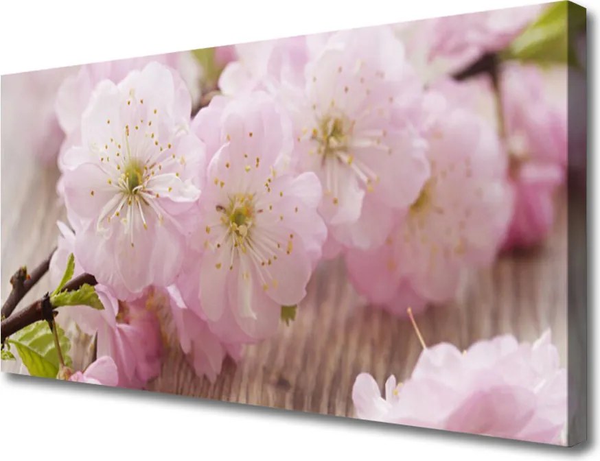 Obraz canvas Subtelne Płatki na Gałązce