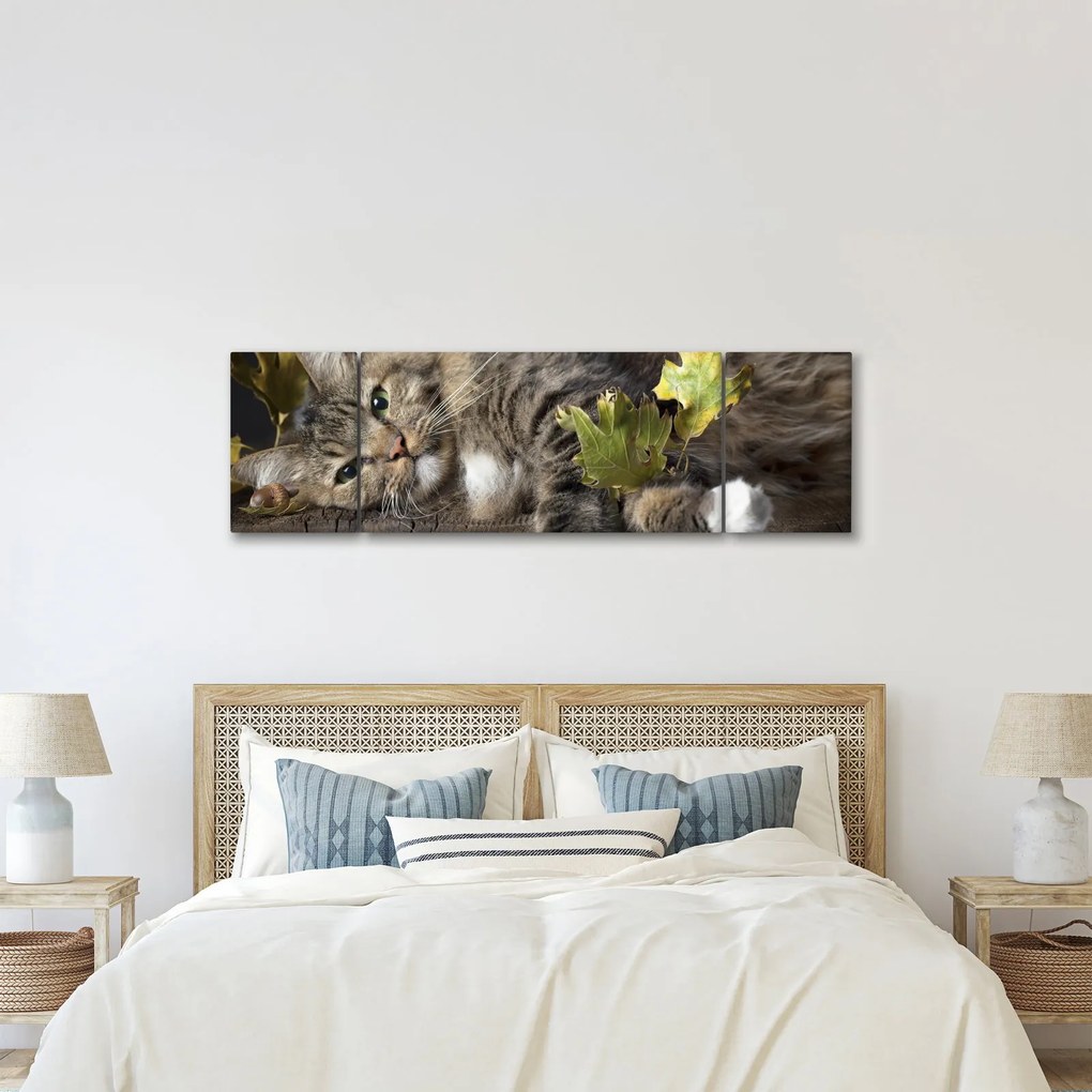 Obraz - Leżący kot (170x50 cm)