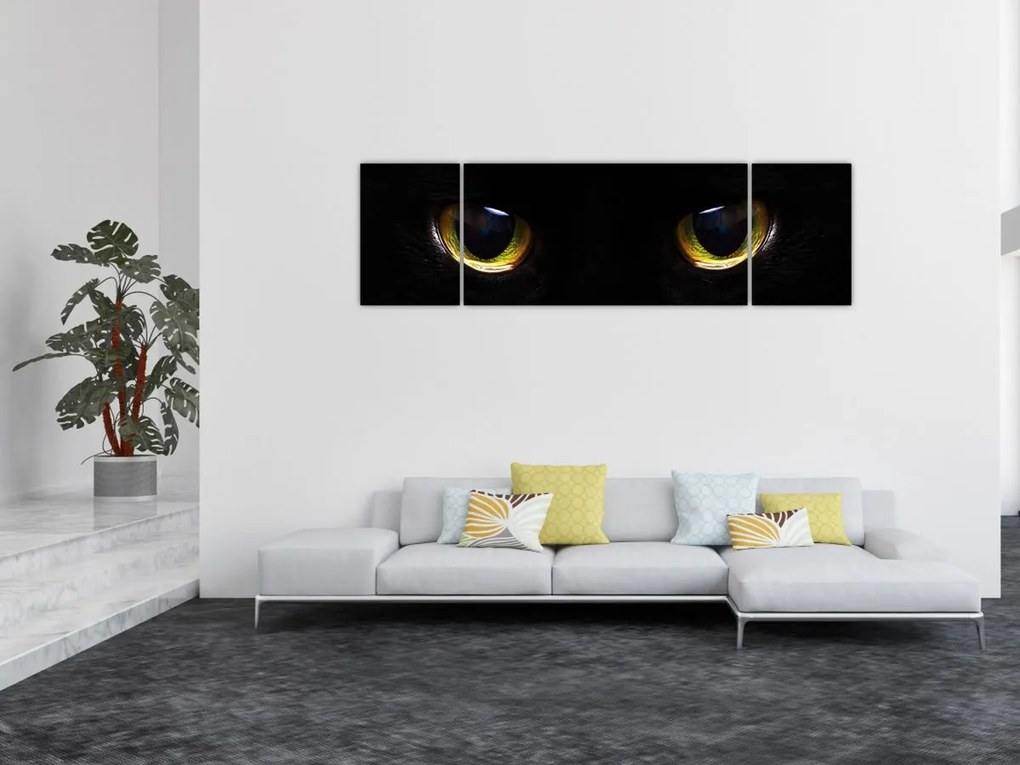 Obraz - Kocie oczy (170x50 cm)
