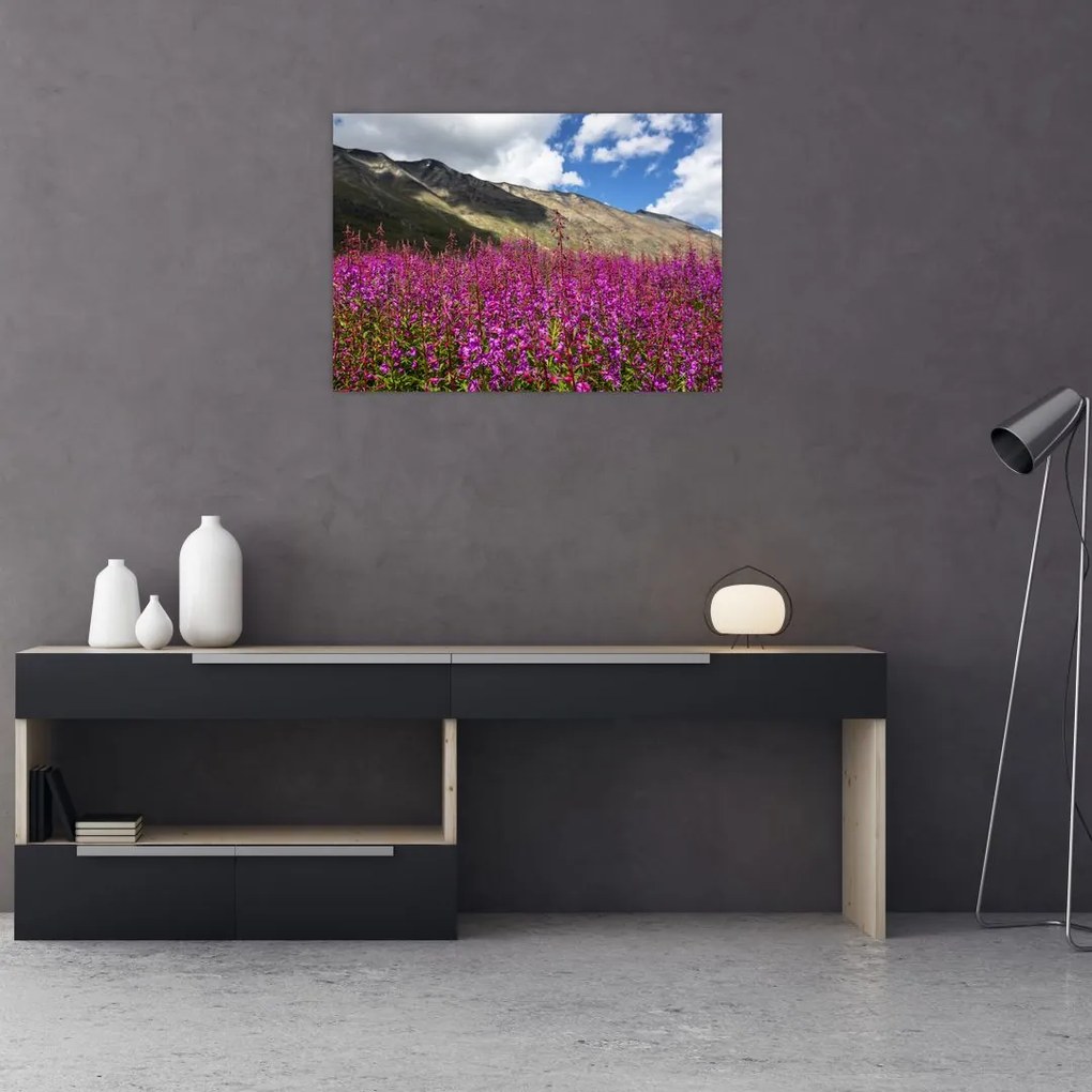 Obraz na szkle scenerii łąki górskiej (70x50 cm)